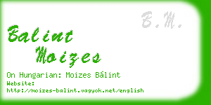 balint moizes business card